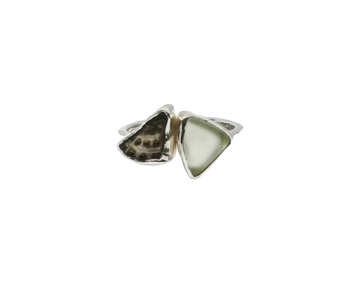 Vortex Ring