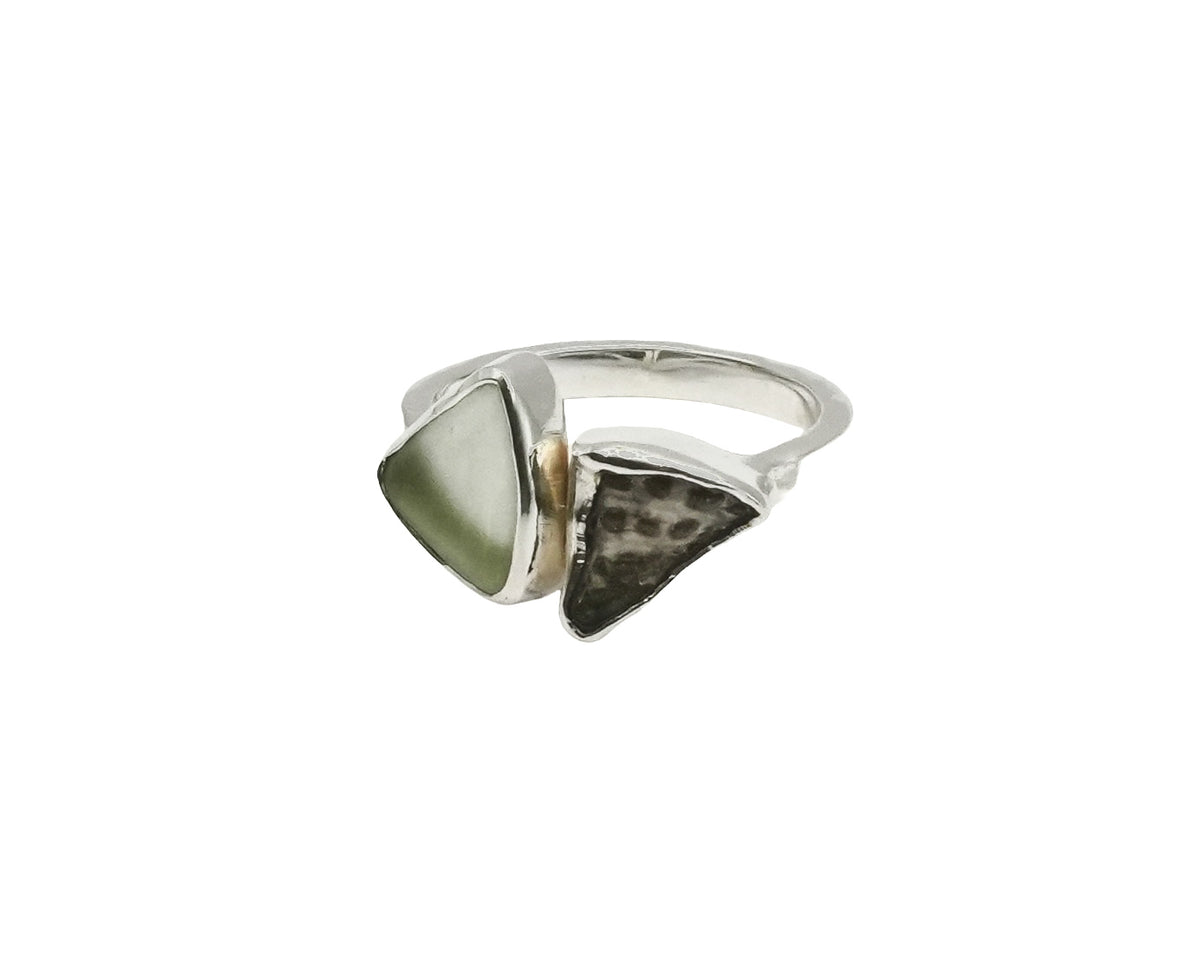 Vortex Ring