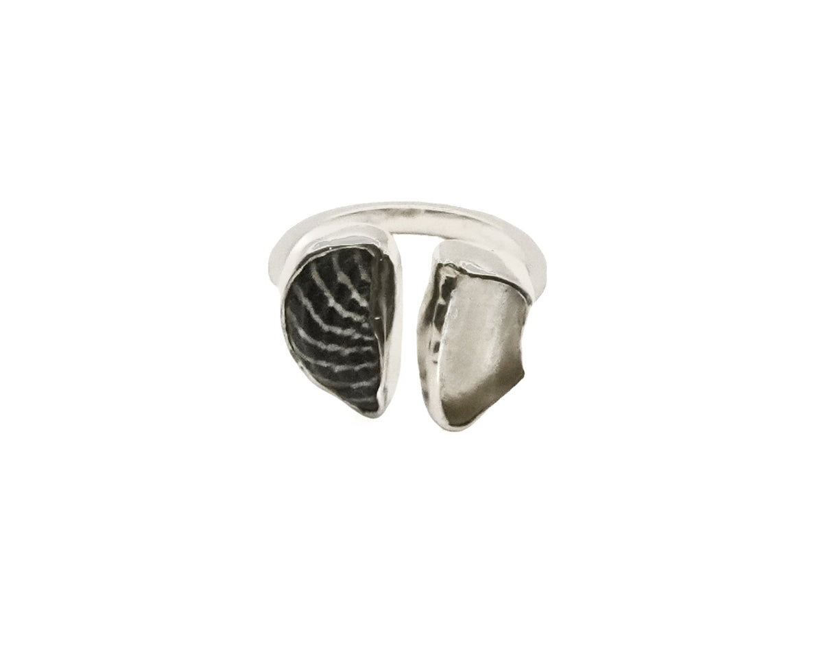 Homeshore Ring