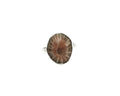 Astral Ring